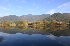 밀양 위양지 - 출사지 소식 출사코리아