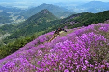 오늘의 천주산 ......... - 출사지 소식 출사코리아