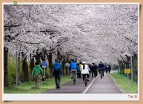 삼락생태공원 소식 - 출사지 소식 출사코리아