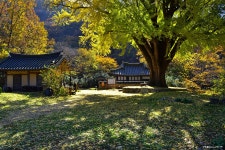 운곡서원 오늘상황 - 출사지 소식 출사코리아