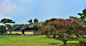 첨성대 배롱나무 - 출사지 소식 출사코리아