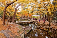 온천장 금강공원 - 출사지 소식 출사코리아