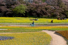 경주 반월성 - 출사지 소식 출사코리아