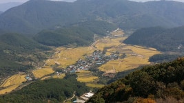 오늘 낮 OK목장 비지리 상황 - 출사지 소식 출사코리아