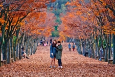 울산문수구장 - 출사지 소식 출사코리아