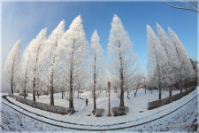 이틀전 신륵사 모습,,, - 출사지 소식 출사코리아