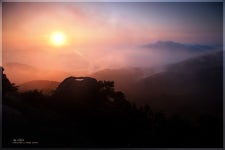 환희의 금샘~~! - ㅊ ㅓ ㄹ ㅣ 갤러리 출사코리아