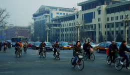 도안로의 자전거 행렬 - ㅊ ㅓ ㄹ ㅣ 갤러리 출사코리아