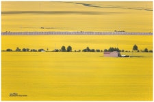 외딴집~2 - ㅊ ㅓ ㄹ ㅣ 갤러리 출사코리아