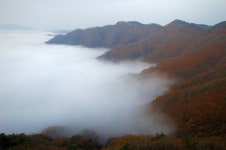 옥정호2 - ㅊ ㅓ ㄹ ㅣ 갤러리 출사코리아