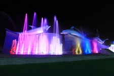 부산의 강서 ... - 자유게시판 출사코리아