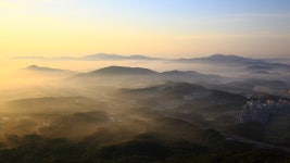 아산은 지금.... - 자유게시판 출사코리아