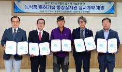 보도자료 타이틀