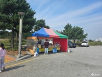 전체기사 - 충청남도 누리집(홈페이지) 충청남도 누리집(홈페이지)