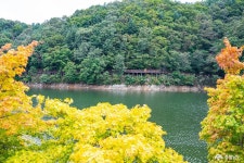 전체기사 - 충청남도 누리집(홈페이지) 충청남도 누리집(홈페이지)