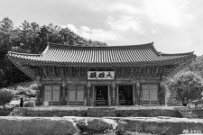 충청남도 누리집(홈페이지)