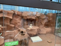 충청남도 누리집(홈페이지)