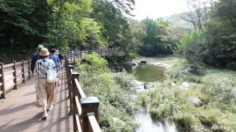 전체기사 - 충청남도 누리집(홈페이지) 충청남도 누리집(홈페이지)