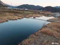 문화·역사 - 지방하천인 웅천천이 승격을 했어요 - 충청남도 지방하천인 웅천천이 승격을 했어요