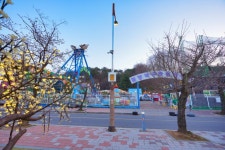 지역신문뉴스 - 역사와 맛을 한자리에서 해미읍성 역사캠핑장 - 충청남도 역사와 맛을 한자리에서 &#39;해미읍성 역사캠핑장&#39;