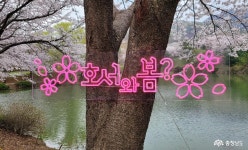 문화·역사 - 단풍 든 호서대로 가을 소풍 어때요 - 충청남도 단풍 든 호서대로 가을 소풍 어때요