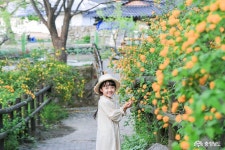 청년공동체 기사 - 충청남도