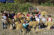 생생뉴스 - 충청남도 행복성장을 위한 꿈과 도전 - 충청남도 충청남도 행복성장을 위한 꿈과 도전