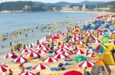 여행 - 충남.충청남도 혁신도시 충청남도 혁신도시