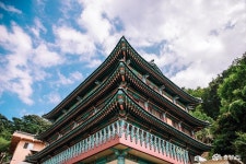 시군뉴스 - 홍성군, 충남대학교 내포캠퍼스 유치 총력전! - 충청남도 홍성군, 충남대학교 내포캠퍼스 유치 총력전!