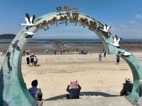 전체기사 - 충청남도