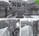 문화·역사 - 공주 학림사의 보물, 육조대사법보단경: 과거와 현재가 만나는 빛나는 순간“ - 충청남도 &quot;공주 학림사의 보물... 