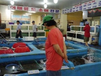 안면도 최대 어시장 백사장항 낭만여행