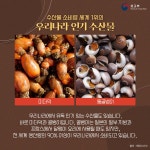 「세계에서 유별나게 한국에서 먹는 특별한 음식 (with 골뱅이무침)」 상세보기|K-문화(숨김) | 주오사카 대한민국 총영사관 주오사카 대한민국... 