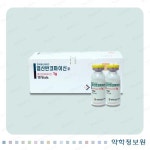 약학정보원