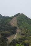 산행기 - 백양산 철쭉 (부산)