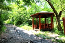 산행기 - 청계산 (원터골 ~ 옛골)