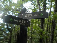 오케이몰, 1등 온라인쇼핑몰을 목표로