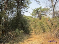 산행기 - 순창 귀래정~동산~(배미산)~옥녀봉~아미산, “여암 선생님, 고맙습니다.”