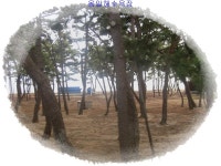 산행기 - 행복했던 장봉도의 하루 / 환상의 명품수석바닷길