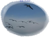 산행기 - 행복했던 장봉도의 하루 / 환상의 명품수석바닷길