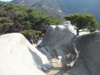 산행기 - 도봉산 (여성봉-신선대-망월사)