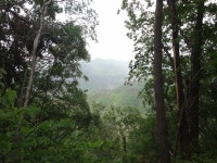 산행기 - 밀림 오지 숲속 넓덕동산1237m 부항산(缶項山)1285.6m 매바우산(鷹岩山)1,102.9m
