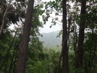 산행기 - 밀림 오지 숲속 넓덕동산1237m 부항산(缶項山)1285.6m 매바우산(鷹岩山)1,102.9m