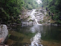 산행기 - 밀림 오지 숲속 넓덕동산1237m 부항산(缶項山)1285.6m 매바우산(鷹岩山)1,102.9m