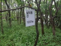 산행기 - 밀림 오지 숲속 넓덕동산1237m 부항산(缶項山)1285.6m 매바우산(鷹岩山)1,102.9m