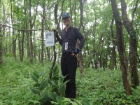 산행기 - 밀림 오지 숲속 넓덕동산1237m 부항산(缶項山)1285.6m 매바우산(鷹岩山)1,102.9m