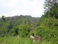 산행기 - 밀림 오지 숲속 넓덕동산1237m 부항산(缶項山)1285.6m 매바우산(鷹岩山)1,102.9m