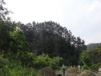 산행기 - 밀림 오지 숲속 넓덕동산1237m 부항산(缶項山)1285.6m 매바우산(鷹岩山)1,102.9m