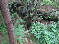산행기 - 밀림 오지 숲속 넓덕동산1237m 부항산(缶項山)1285.6m 매바우산(鷹岩山)1,102.9m