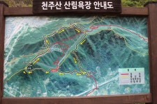 산행기 - 붉게 물든 천주산 진달래